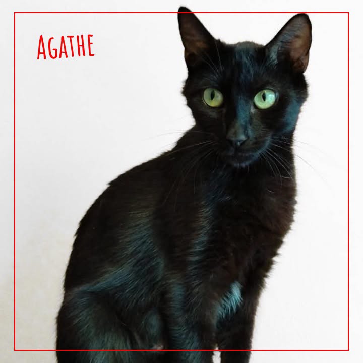 Agathe